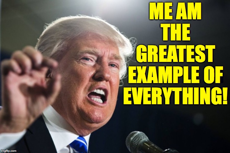 donald trump | ME AM THE GREATEST EXAMPLE OF EVERYTHING! | image tagged in donald trump | made w/ Imgflip meme maker