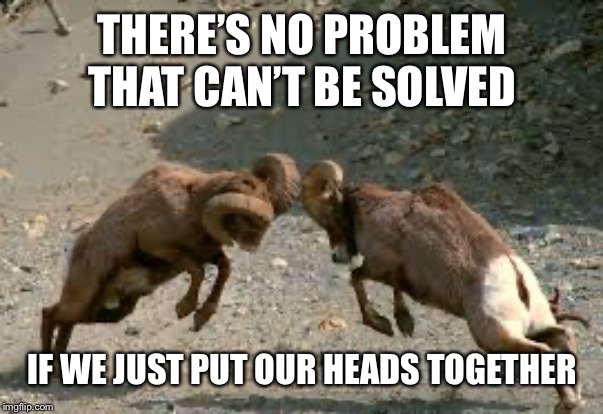Cooperation | THERE’S NO PROBLEM THAT CAN’T BE SOLVED; IF WE JUST PUT OUR HEADS TOGETHER | image tagged in bighorn sheep,cooperation | made w/ Imgflip meme maker