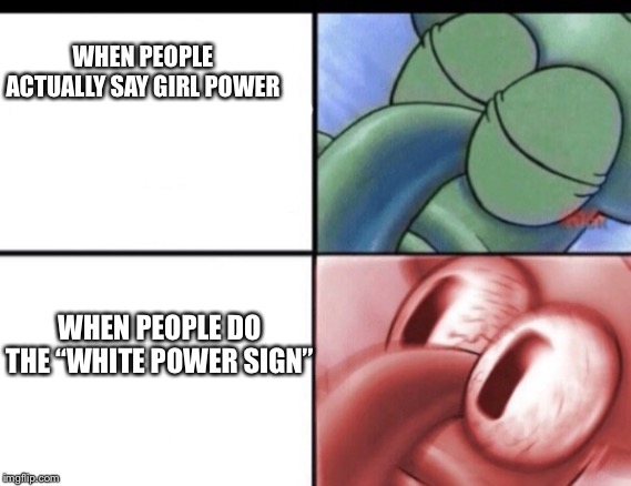 Squidward sleeping | WHEN PEOPLE ACTUALLY SAY GIRL POWER; WHEN PEOPLE DO THE “WHITE POWER SIGN” | image tagged in squidward sleeping,spongebob,misandry,racism,funny,memes | made w/ Imgflip meme maker