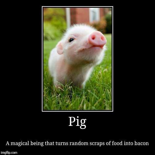 image tagged in funny,demotivationals | made w/ Imgflip demotivational maker