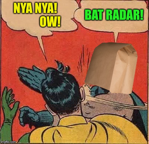Batman Slapping Robin Meme | NYA NYA!              OW! BAT RADAR! | image tagged in memes,batman slapping robin | made w/ Imgflip meme maker