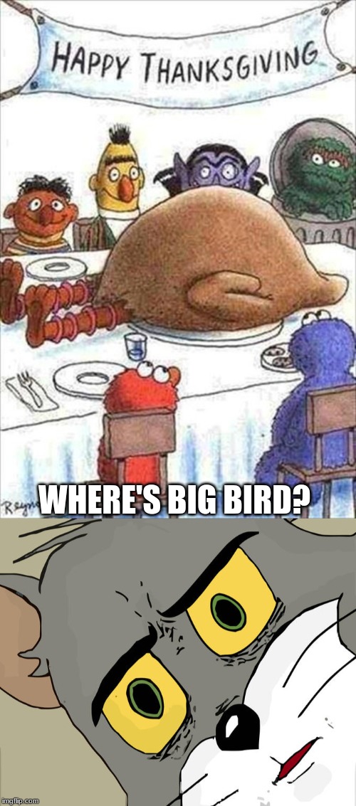 WHERE'S BIG BIRD? | image tagged in memes,unsettled tom | made w/ Imgflip meme maker