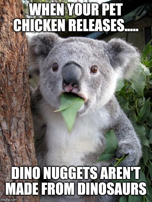 Surprised Koala | WHEN YOUR PET CHICKEN RELEASES..... DINO NUGGETS AREN'T MADE FROM DINOSAURS | image tagged in memes,surprised koala | made w/ Imgflip meme maker