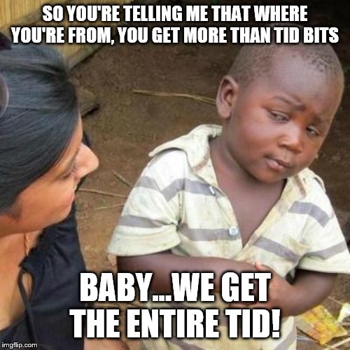 So You're Telling Me | SO YOU'RE TELLING ME THAT WHERE YOU'RE FROM, YOU GET MORE THAN TID BITS; BABY...WE GET THE ENTIRE TID! | image tagged in so you're telling me | made w/ Imgflip meme maker