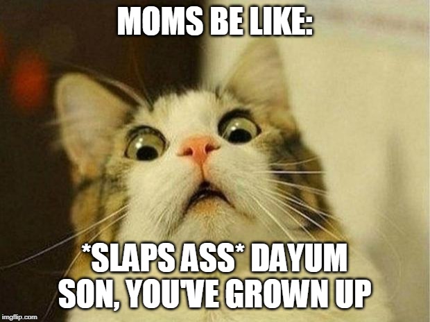 Scared Cat Meme | MOMS BE LIKE:; *SLAPS ASS* DAYUM SON, YOU'VE GROWN UP | image tagged in memes,scared cat | made w/ Imgflip meme maker
