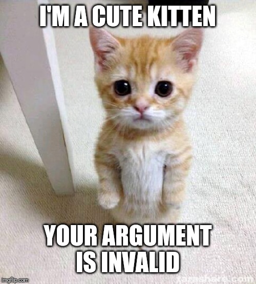 Kitty UwU | I'M A CUTE KITTEN; YOUR ARGUMENT IS INVALID | image tagged in memes,cute cat | made w/ Imgflip meme maker