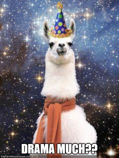 Drama Llama Birthday | DRAMA MUCH?? | image tagged in drama llama birthday | made w/ Imgflip meme maker