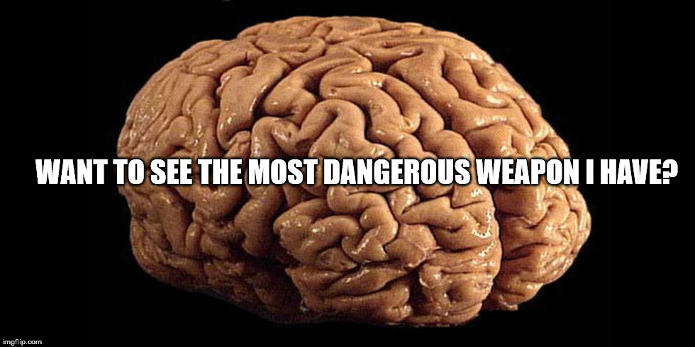 human brain | WANT TO SEE THE MOST DANGEROUS WEAPON I HAVE? | image tagged in human brain,witty meme,philosophy,meme | made w/ Imgflip meme maker