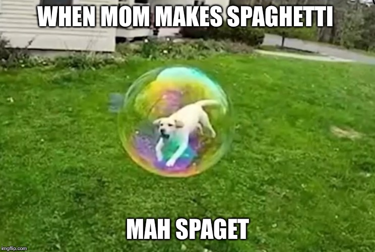 Bubble doggo | WHEN MOM MAKES SPAGHETTI; MAH SPAGET | image tagged in bubble doggo | made w/ Imgflip meme maker