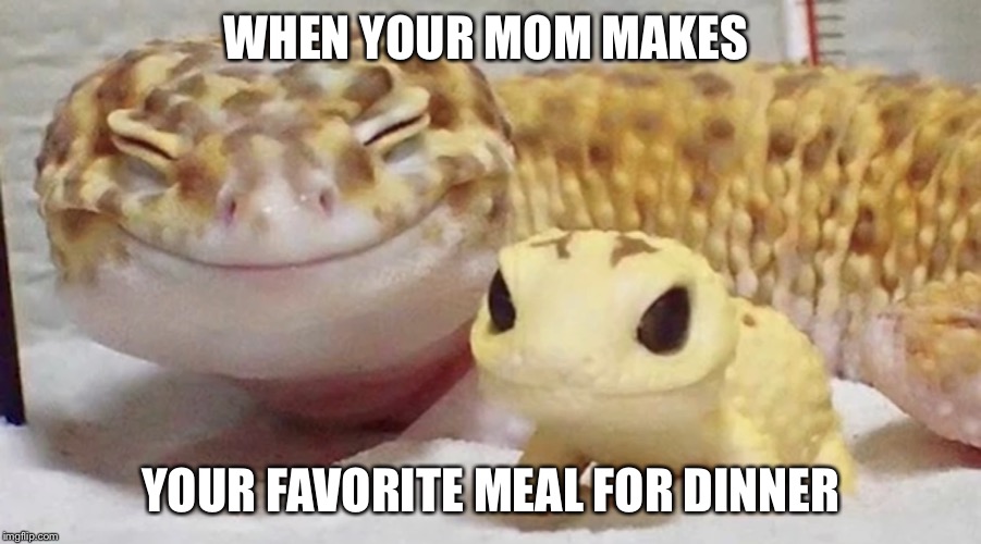 Happy salamander | WHEN YOUR MOM MAKES; YOUR FAVORITE MEAL FOR DINNER | image tagged in happy salamander | made w/ Imgflip meme maker