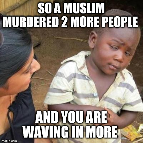 So You're Telling Me | SO A MUSLIM MURDERED 2 MORE PEOPLE; AND YOU ARE WAVING IN MORE | image tagged in so you're telling me | made w/ Imgflip meme maker