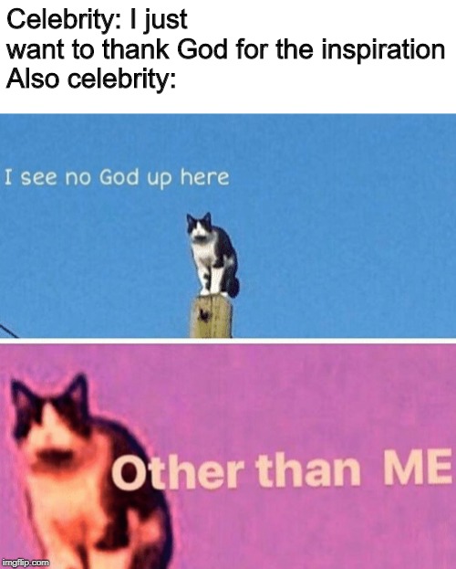 No one man should have all that power | Celebrity: I just want to thank God for the inspiration
Also celebrity: | image tagged in hail pole cat | made w/ Imgflip meme maker
