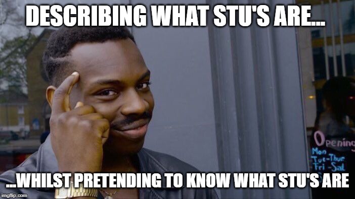 Roll Safe Think About It Meme | DESCRIBING WHAT STU'S ARE... ...WHILST PRETENDING TO KNOW WHAT STU'S ARE | image tagged in memes,roll safe think about it | made w/ Imgflip meme maker
