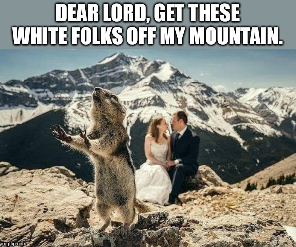 Dear Lord | DEAR LORD, GET THESE WHITE FOLKS OFF MY MOUNTAIN. | image tagged in wedding,pray,memes,funny,animals,cute | made w/ Imgflip meme maker