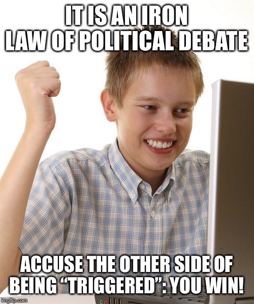 Protip for Trumpists | IT IS AN IRON LAW OF POLITICAL DEBATE; ACCUSE THE OTHER SIDE OF BEING “TRIGGERED”: YOU WIN! | image tagged in i win,triggered,triggered liberal,politics,debate,dumb | made w/ Imgflip meme maker
