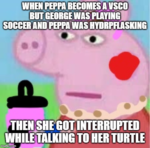 Vsco peppa | WHEN PEPPA BECOMES A VSCO BUT GEORGE WAS PLAYING SOCCER AND PEPPA WAS HYDRPFLASKING; THEN SHE GOT INTERRUPTED WHILE TALKING TO HER TURTLE | image tagged in vsco peppa | made w/ Imgflip meme maker