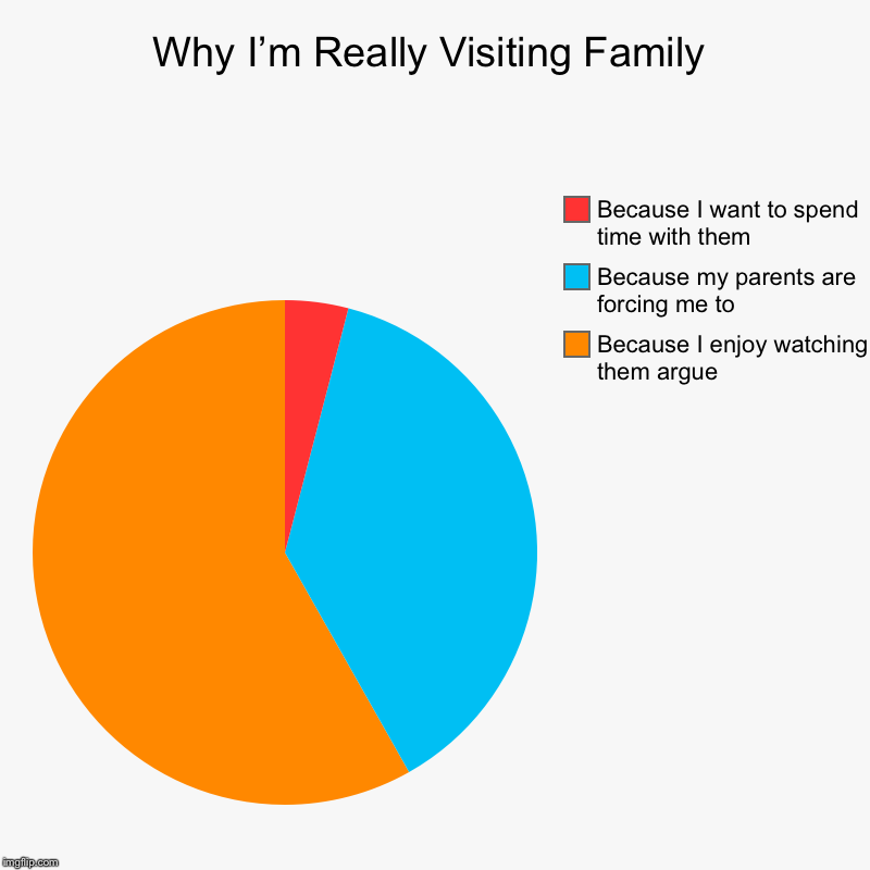 Why I’m Really Visiting Family | Because I enjoy watching them argue, Because my parents are forcing me to, Because I want to spend time wit | image tagged in charts,pie charts | made w/ Imgflip chart maker