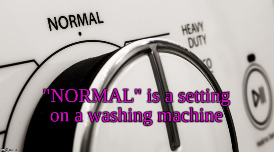 normal | "NORMAL" is a setting
on a washing machine | image tagged in normal | made w/ Imgflip meme maker