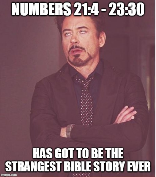 The Most Bizarre Bible Story | NUMBERS 21:4 - 23:30; HAS GOT TO BE THE STRANGEST BIBLE STORY EVER | image tagged in memes,face you make robert downey jr,bible,bizarre,abrahamic religions,strange | made w/ Imgflip meme maker