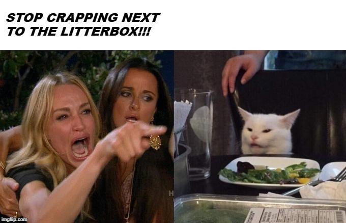 Woman Yelling At Cat Meme | STOP CRAPPING NEXT TO THE LITTERBOX!!! | image tagged in memes,woman yelling at cat | made w/ Imgflip meme maker