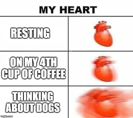 My heart blank | RESTING; ON MY 4TH CUP OF COFFEE; THINKING ABOUT DOGS | image tagged in my heart blank | made w/ Imgflip meme maker