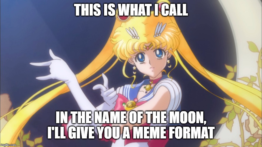 I'll Punish You | THIS IS WHAT I CALL; IN THE NAME OF THE MOON, I'LL GIVE YOU A MEME FORMAT | image tagged in i'll punish you | made w/ Imgflip meme maker