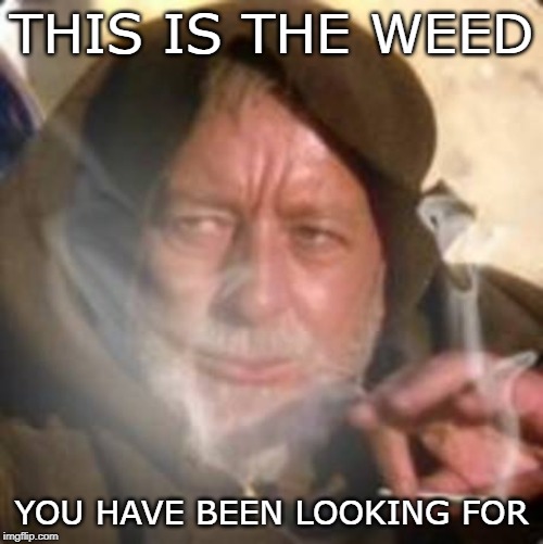 obiwan star wars joint smoking weed | THIS IS THE WEED; YOU HAVE BEEN LOOKING FOR | image tagged in obiwan star wars joint smoking weed | made w/ Imgflip meme maker