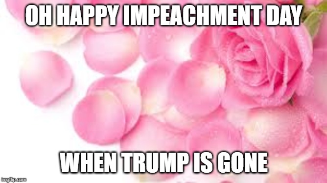 Pink Rose with Pedals | OH HAPPY IMPEACHMENT DAY; WHEN TRUMP IS GONE | image tagged in pink rose with pedals | made w/ Imgflip meme maker