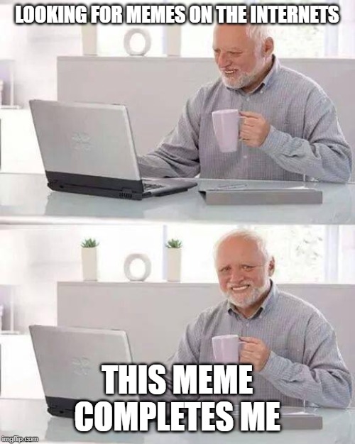 Hide the Pain Harold Meme | LOOKING FOR MEMES ON THE INTERNETS THIS MEME COMPLETES ME | image tagged in memes,hide the pain harold | made w/ Imgflip meme maker