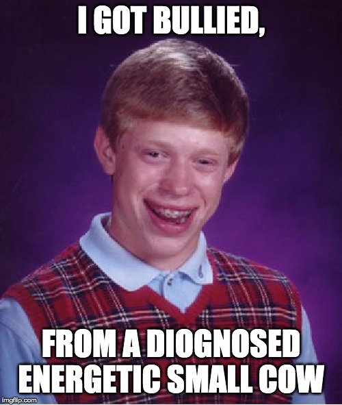 Bad Luck Brian | I GOT BULLIED, FROM A DIOGNOSED ENERGETIC SMALL COW | image tagged in memes,bad luck brian | made w/ Imgflip meme maker