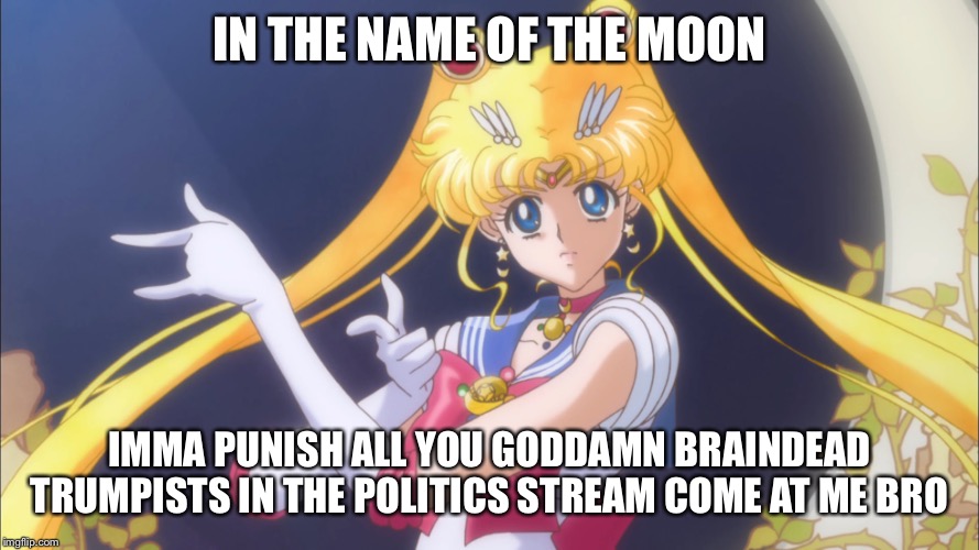 Imma punish y’all | IN THE NAME OF THE MOON; IMMA PUNISH ALL YOU GODDAMN BRAINDEAD TRUMPISTS IN THE POLITICS STREAM COME AT ME BRO | image tagged in i'll punish you,politics,political meme,come at me bro,sailor moon,lol | made w/ Imgflip meme maker