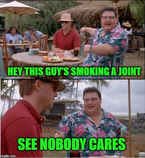 See Nobody Cares | HEY THIS GUY'S SMOKING A JOINT; SEE NOBODY CARES | image tagged in memes,see nobody cares | made w/ Imgflip meme maker