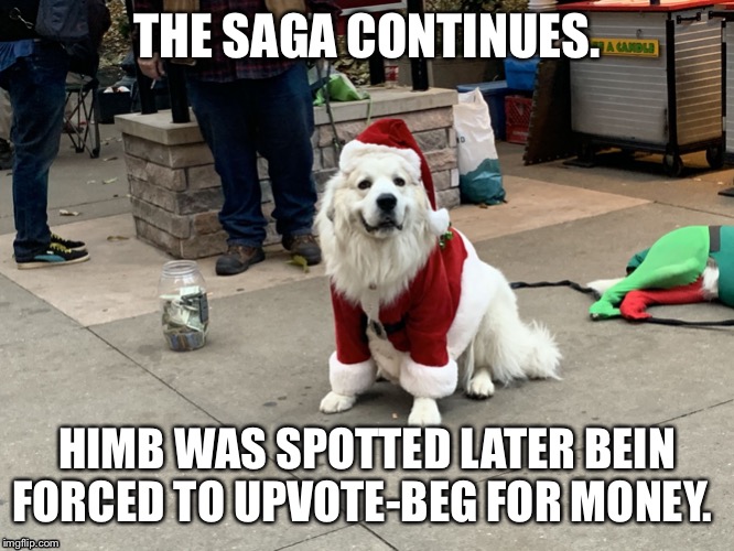 Vol. 2. The Fuck Christmas saga continues. | THE SAGA CONTINUES. HIMB WAS SPOTTED LATER BEIN FORCED TO UPVOTE-BEG FOR MONEY. | image tagged in upvote beggin for money,dog,santa,christmas,upvote,fishing for upvotes | made w/ Imgflip meme maker