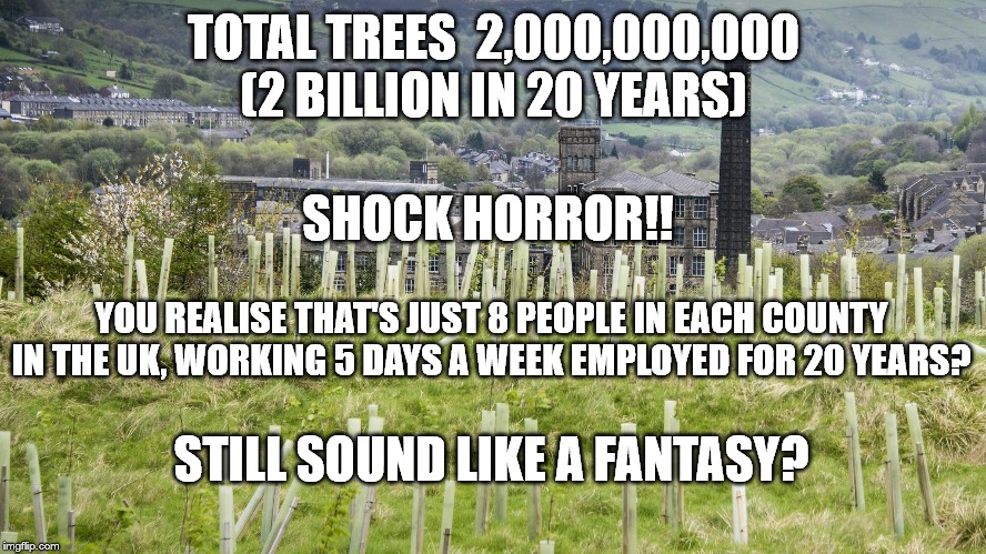 TOTAL TREES  2,000,000,000 (2 BILLION IN 20 YEARS); SHOCK HORROR!! YOU REALISE THAT'S JUST 8 PEOPLE IN EACH COUNTY IN THE UK, WORKING 5 DAYS A WEEK EMPLOYED FOR 20 YEARS? STILL SOUND LIKE A FANTASY? | image tagged in 2 billion trees | made w/ Imgflip meme maker