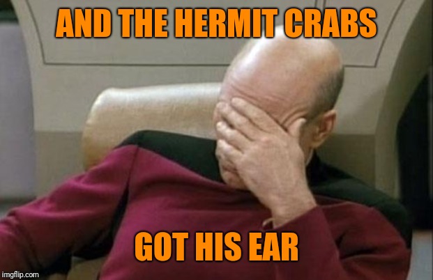 Captain Picard Facepalm Meme | AND THE HERMIT CRABS GOT HIS EAR | image tagged in memes,captain picard facepalm | made w/ Imgflip meme maker