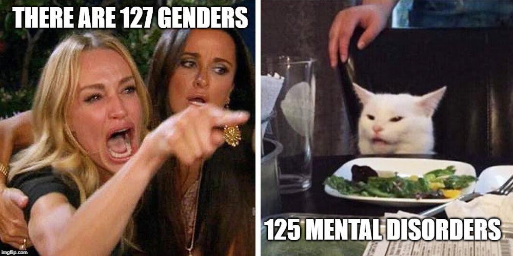 Smudge the cat | THERE ARE 127 GENDERS; 125 MENTAL DISORDERS | image tagged in smudge the cat | made w/ Imgflip meme maker