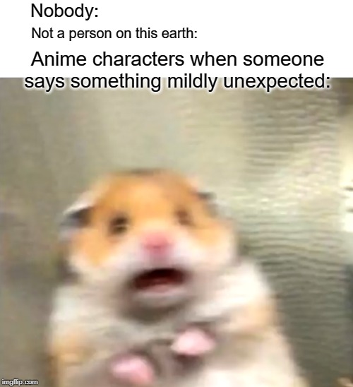 SHOCK | Nobody:; Not a person on this earth:; Anime characters when someone says something mildly unexpected: | image tagged in scared hamster | made w/ Imgflip meme maker
