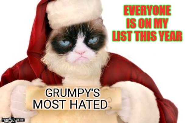 Grumpy's most hated | EVERYONE IS ON MY LIST THIS YEAR | image tagged in memes,grumpy's most hated,grumpy cat,44colt,santa naughty list,christmas | made w/ Imgflip meme maker