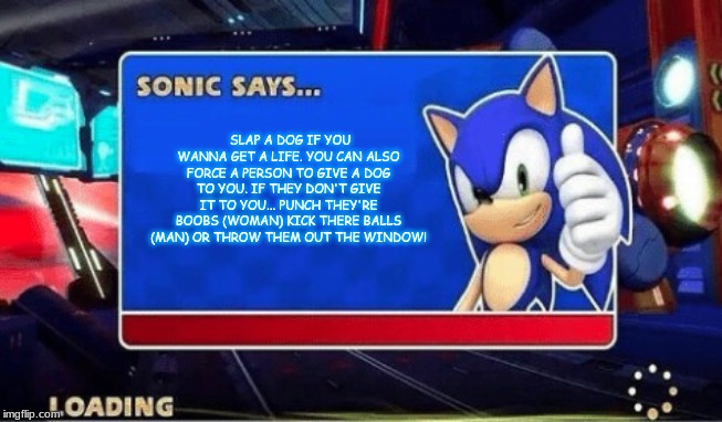 Sonic Says | SLAP A DOG IF YOU WANNA GET A LIFE. YOU CAN ALSO FORCE A PERSON TO GIVE A DOG TO YOU. IF THEY DON'T GIVE IT TO YOU... PUNCH THEY'RE BOOBS (WOMAN) KICK THERE BALLS (MAN) OR THROW THEM OUT THE WINDOW! | image tagged in sonic says | made w/ Imgflip meme maker