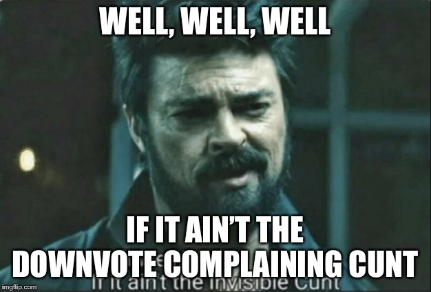 The boys invisible cunt | WELL, WELL, WELL; IF IT AIN’T THE DOWNVOTE COMPLAINING CUNT | image tagged in the boys invisible cunt | made w/ Imgflip meme maker