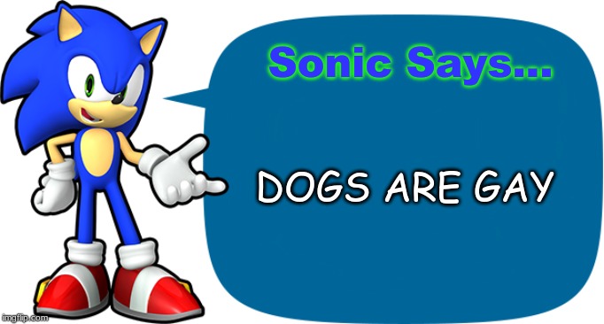 Sonic Sez | Sonic Says... DOGS ARE GAY | image tagged in sonic sez | made w/ Imgflip meme maker