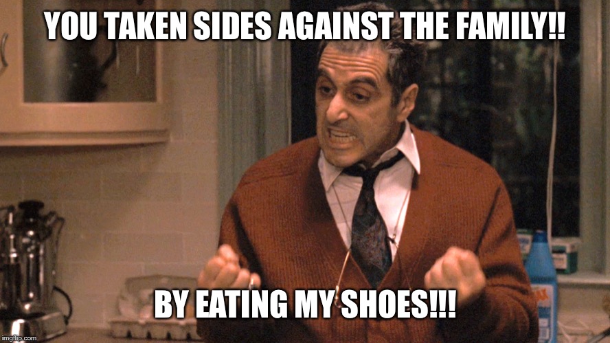 They pull me back in Godfather | YOU TAKEN SIDES AGAINST THE FAMILY!! BY EATING MY SHOES!!! | image tagged in they pull me back in godfather | made w/ Imgflip meme maker