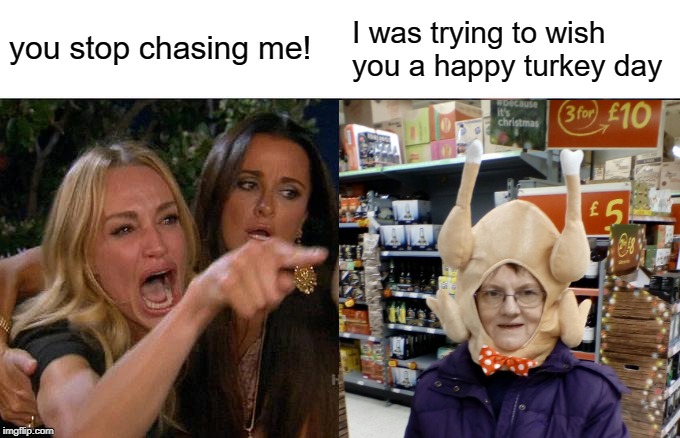 Woman Yelling At Cat Meme | you stop chasing me! I was trying to wish you a happy turkey day | image tagged in memes,woman yelling at cat | made w/ Imgflip meme maker