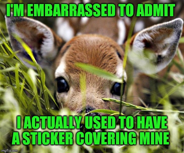 I'M EMBARRASSED TO ADMIT I ACTUALLY USED TO HAVE A STICKER COVERING MINE | made w/ Imgflip meme maker