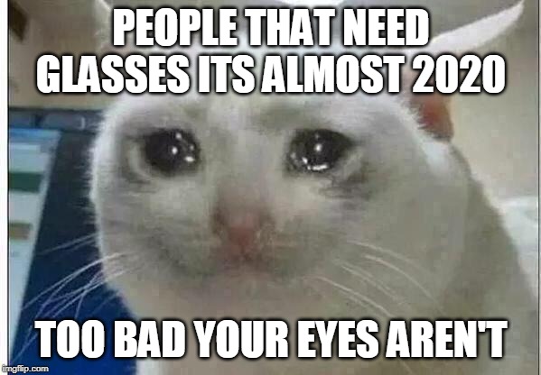 crying cat | PEOPLE THAT NEED GLASSES ITS ALMOST 2020; TOO BAD YOUR EYES AREN'T | image tagged in crying cat | made w/ Imgflip meme maker