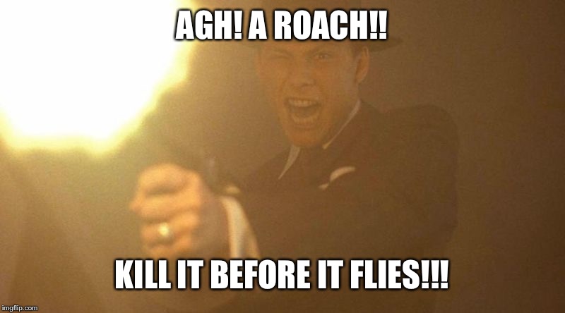 AGH! A ROACH!! KILL IT BEFORE IT FLIES!!! | made w/ Imgflip meme maker