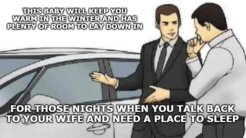 Car Salesman Slaps Roof Of Car Meme | THIS BABY WILL KEEP YOU WARM IN THE WINTER AND HAS PLENTY OF ROOM TO LAY DOWN IN; FOR THOSE NIGHTS WHEN YOU TALK BACK TO YOUR WIFE AND NEED A PLACE TO SLEEP | image tagged in memes,car salesman slaps roof of car | made w/ Imgflip meme maker