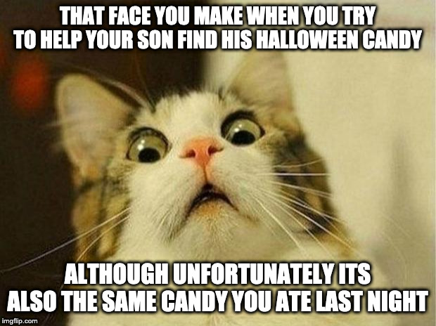 Scared Cat | THAT FACE YOU MAKE WHEN YOU TRY TO HELP YOUR SON FIND HIS HALLOWEEN CANDY; ALTHOUGH UNFORTUNATELY ITS ALSO THE SAME CANDY YOU ATE LAST NIGHT | image tagged in memes,scared cat | made w/ Imgflip meme maker