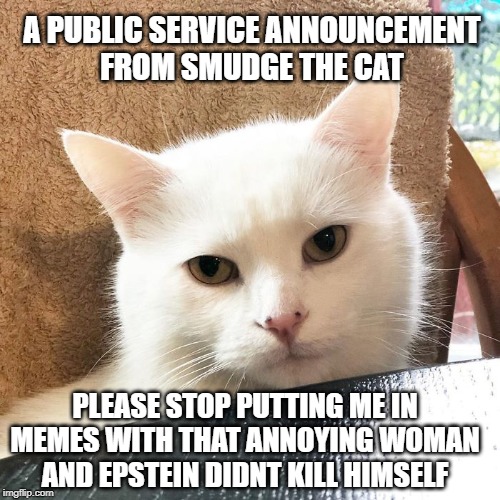 A PUBLIC SERVICE ANNOUNCEMENT
FROM SMUDGE THE CAT; PLEASE STOP PUTTING ME IN MEMES WITH THAT ANNOYING WOMAN AND EPSTEIN DIDNT KILL HIMSELF | image tagged in smudge the cat | made w/ Imgflip meme maker