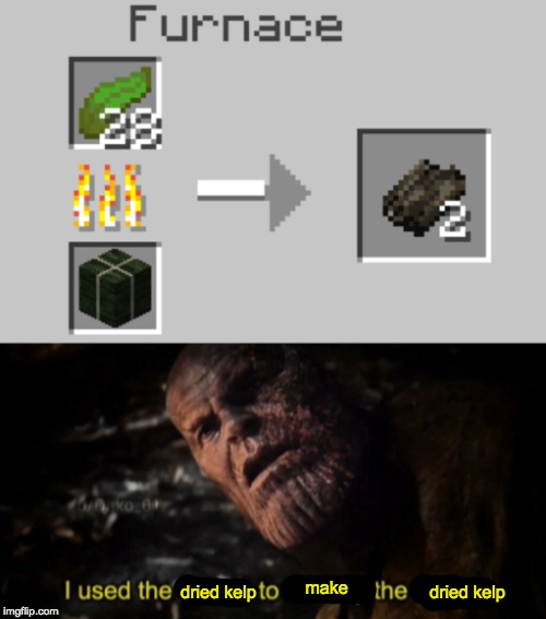 dried kelp; make; dried kelp | image tagged in i used the stones to destroy the stones | made w/ Imgflip meme maker
